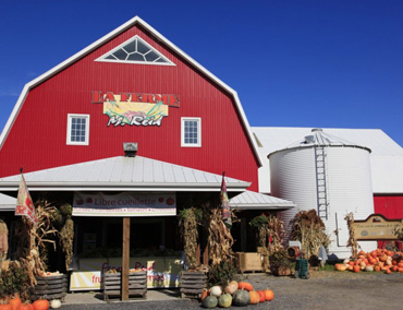 Ferme Reid