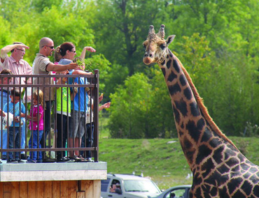 Parc Safari