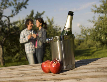 La Route des vins de la Montérégie