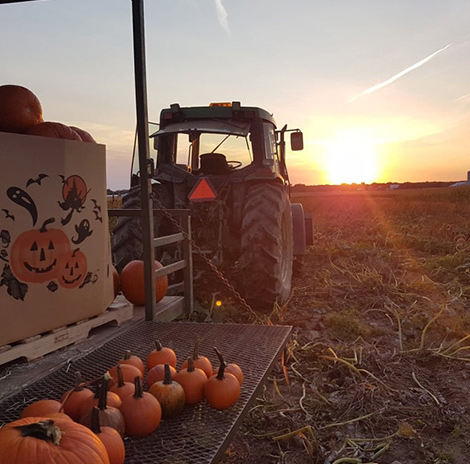 Forfait Séjour et récoltes d'automne